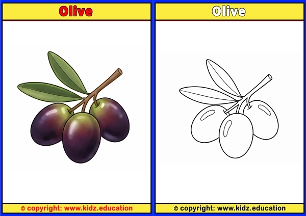 Olive - Printable Coloring Page for Kids