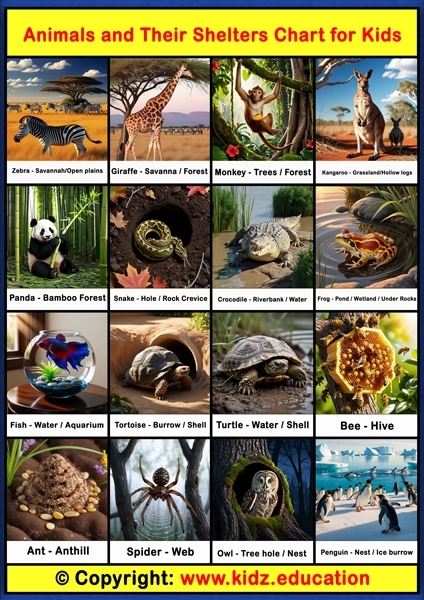 Animals and Their Shelters Chart - 2 | Printable Educational Chart for Kids