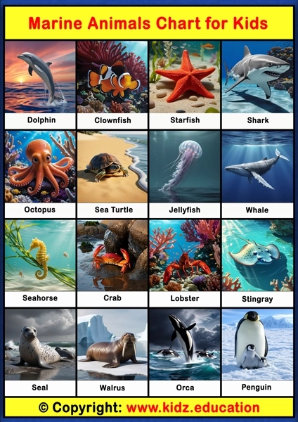 Marine Animals Chart - 1 | Printable Educational Chart for Kids
