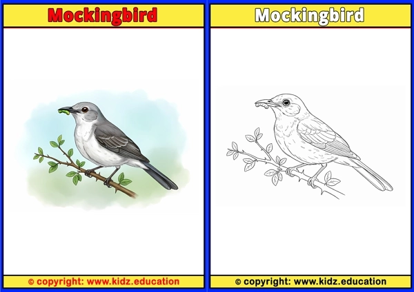 Mynah Bird - Printable Coloring Page for Kids