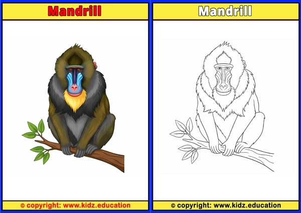 Mandrill - Printable Coloring Page for Kids