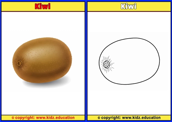 Kiwi - Printable Coloring Page for Kids