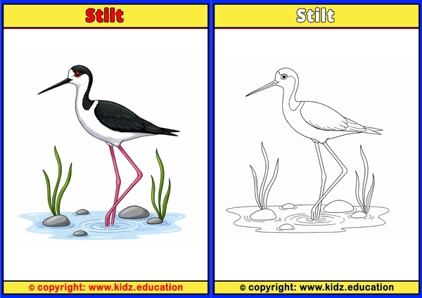 Stork - Printable Coloring Page for Kids