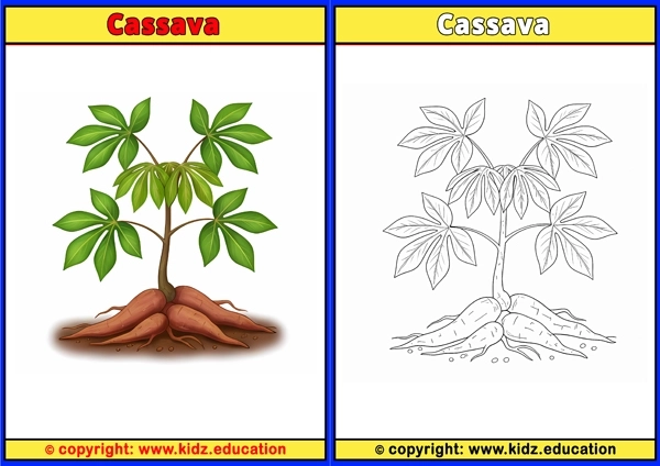 Cassava - Printable Coloring Page for Kids