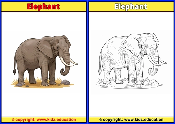 Elephant - Printable Coloring Page for Kids