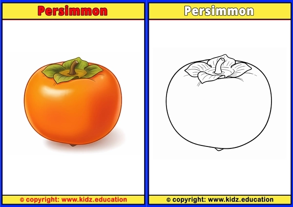Persimmon - Printable Coloring Page for Kids