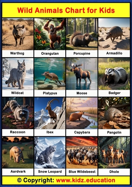 Wild Animals Chart - 3 | Printable Educational Chart for Kids