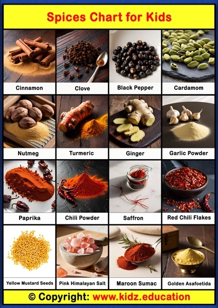 Spices Chart – 1 | Printable Educational Chart for Kids