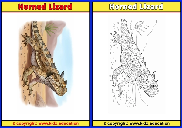Horned Lizard - Printable Coloring Page for Kids