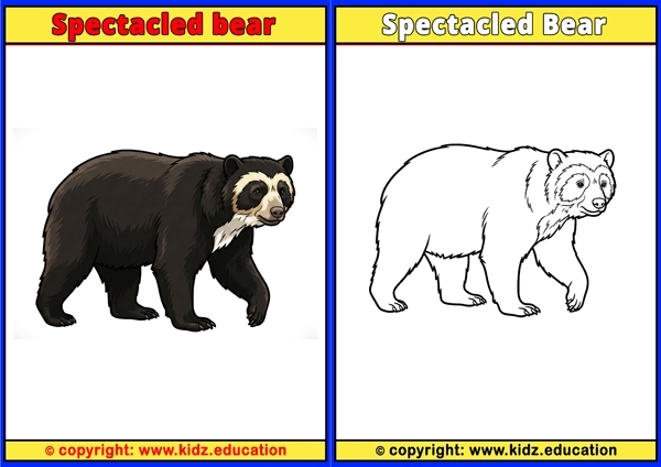 Spectacled Bear - Printable Coloring Page for Kids