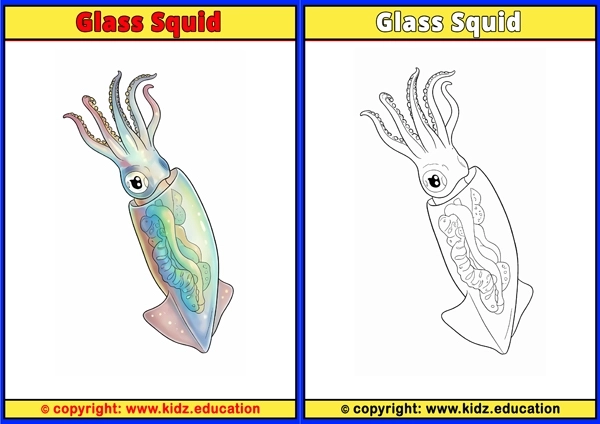 Glass Squid - Printable Coloring Page for Kids