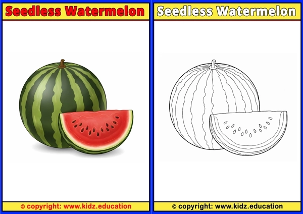 Seedless Watermelon - Printable Coloring Page for Kids