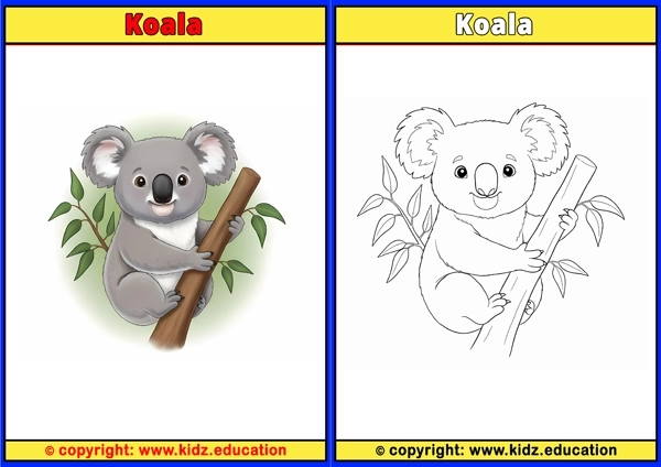Koala - Printable Coloring Page for Kids