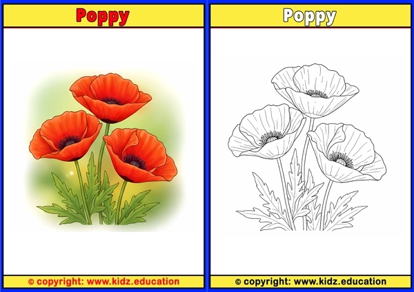 Poppy - Printable Coloring Page for Kids