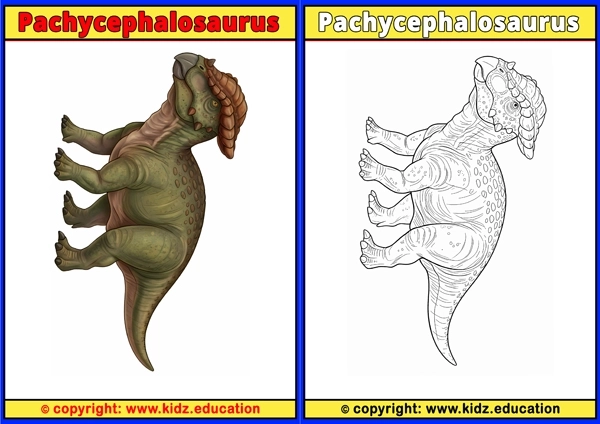 Pachycephalosaurus - Printable Coloring Page for Kids