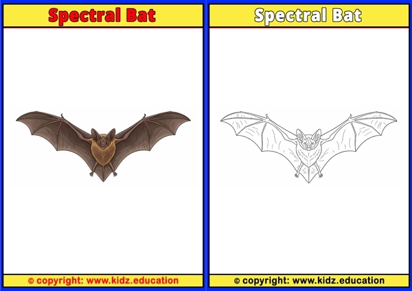 Spectral Bat - Printable Coloring Page for Kids