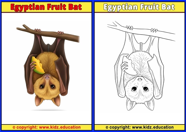 Egyptian Fruit Bat - Printable Coloring Page for Kids