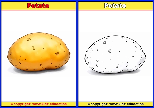 Potato - Printable Coloring Page for Kids