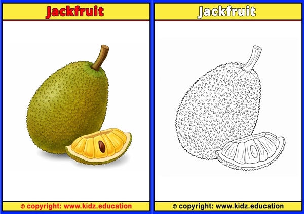 Jackfruit - Printable Coloring Page for Kids