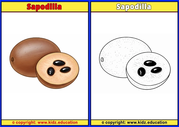 Sapodilla - Printable Coloring Page for Kids