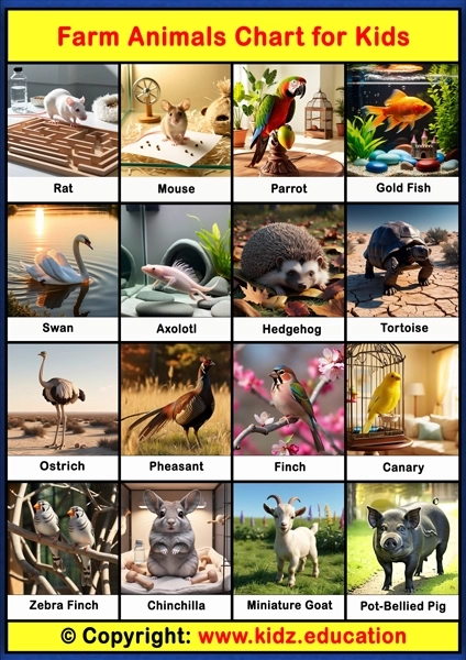 Farm Animals Chart - 3 | Printable Educational Chart for Kids