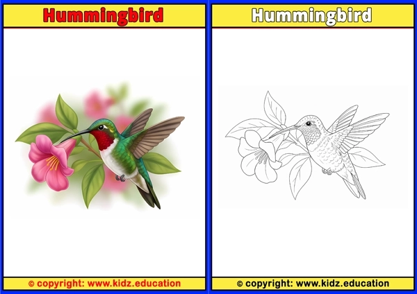 Hunting Falcon - Printable Coloring Page for Kids