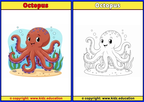 Octopus1 - Printable Coloring Page for Kids