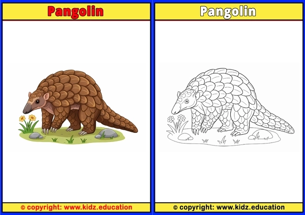 Pangolin - Printable Coloring Page for Kids