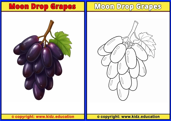 Moon Drop Grapes - Printable Coloring Page for Kids