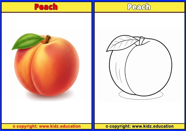 Peach - Printable Coloring Page for Kids