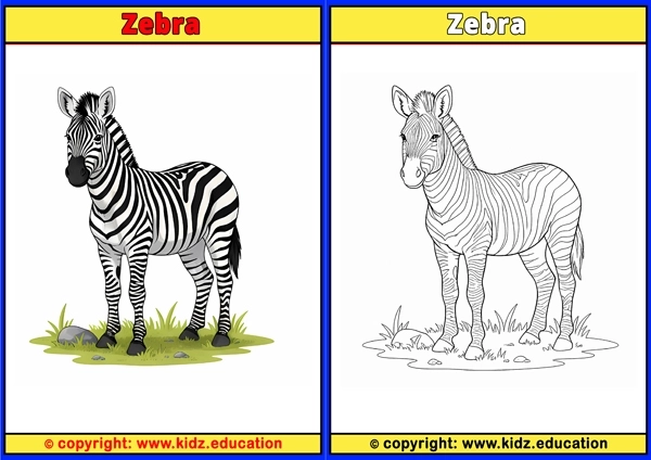 Zebra - Printable Coloring Page for Kids
