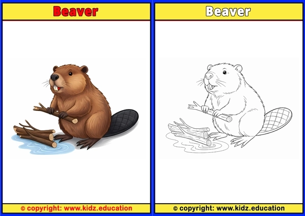 Beaver - Printable Coloring Page for Kids