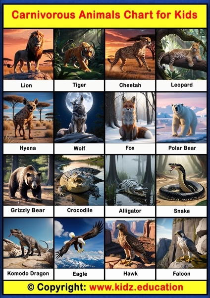 Carnivorous Animals Chart - 1 | Printable Educational Chart for Kids
