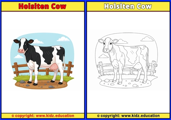 Holslten Cow - Printable Coloring Page for Kids