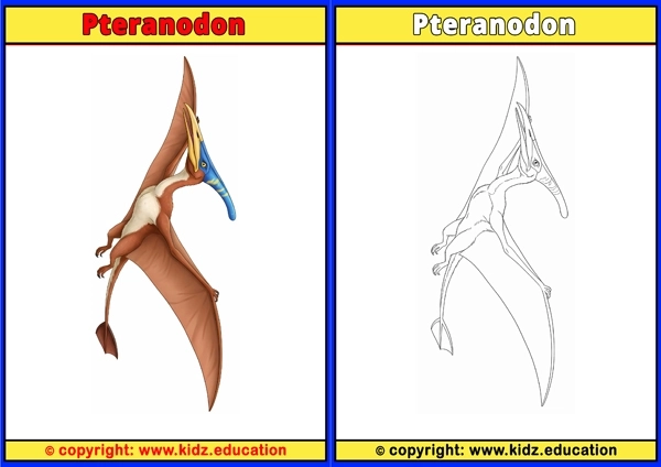 Pteranodon - Printable Coloring Page for Kids