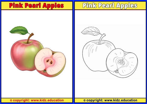 Pink Pearl Apples - Printable Coloring Page for Kids