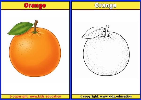 Orange - Printable Coloring Page for Kids