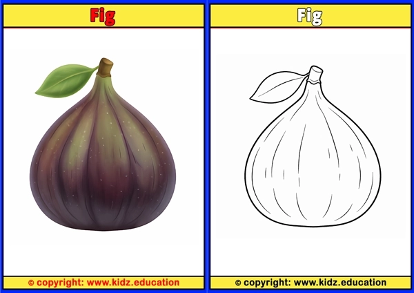Fig - Printable Coloring Page for Kids