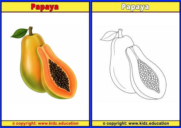 Papaya - Printable Coloring Page for Kids