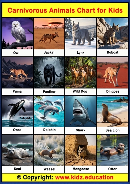 Carnivorous Animals Chart - 2 | Printable Educational Chart for Kids