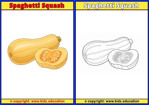 Spaghetti Squash - Printable Coloring Page for Kids