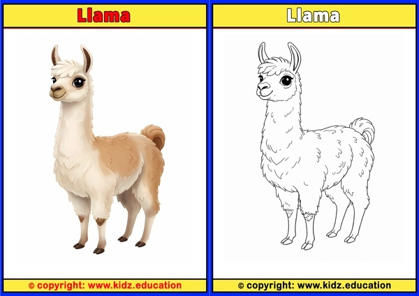 Llama - Printable Coloring Page for Kids