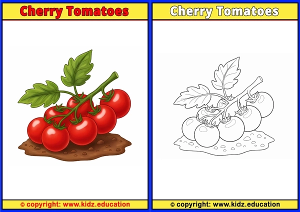 Cherry Tomatoes - Printable Coloring Page for Kids