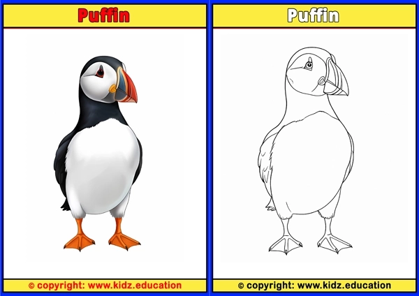 Quail - Printable Coloring Page for Kids