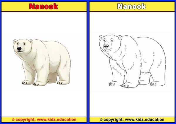 Nanook - Printable Coloring Page for Kids