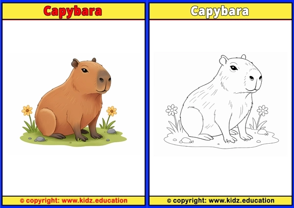 Capybara - Printable Coloring Page for Kids