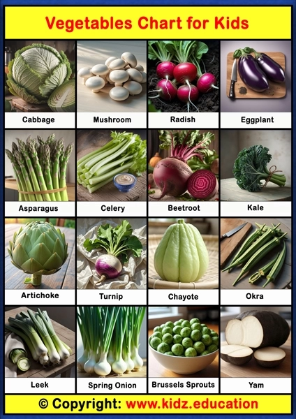 Vegetables Chart - 2 | Printable Educational Chart for Kids