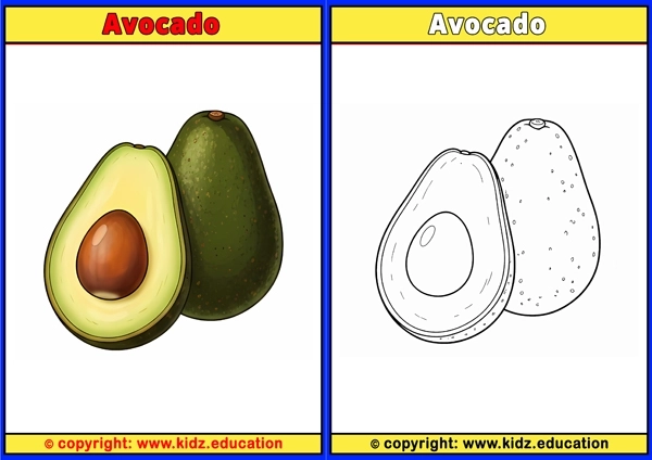 Avocado - Printable Coloring Page for Kids