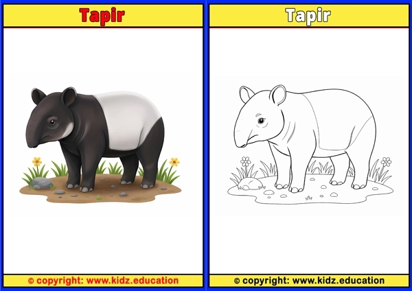 Tapir - Printable Coloring Page for Kids