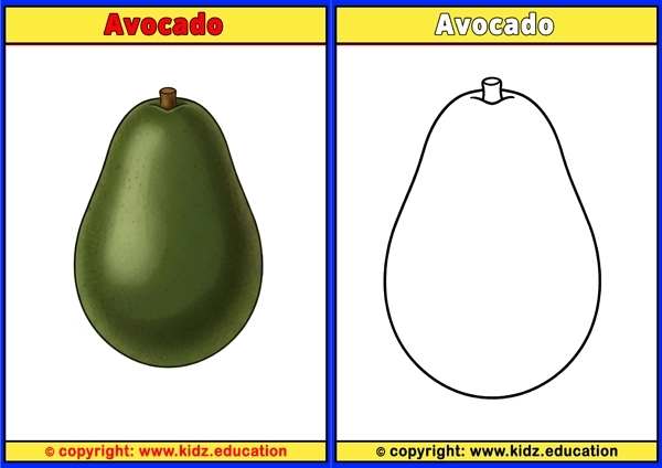 Apricot - Printable Coloring Page for Kids